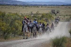 Im Galopp durch die Extremadura