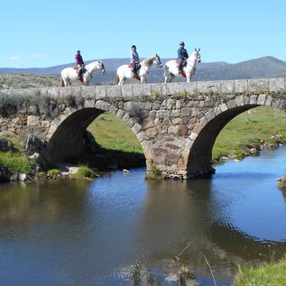 Ritt über eine Brücke