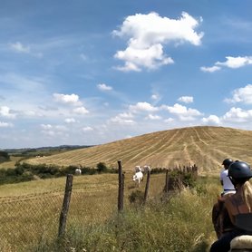 Wanderreiten durch die Toskana