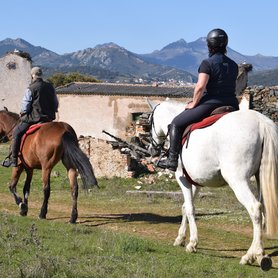 Entspanntes Wanderreiten