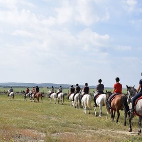 Reitergruppe in der Extremadura