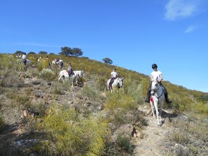 Ritt bergab im Nationalpark Monfragüe