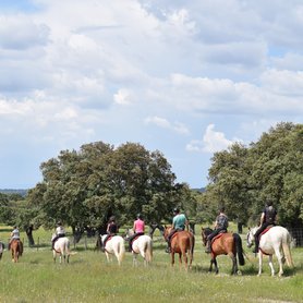 Gruppe reitet über eine Wiese