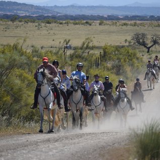 Im Galopp durch die Extremadura