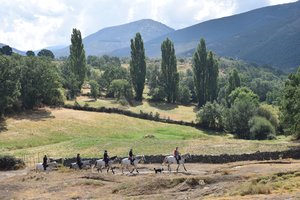 Wanderreiten mit Blick auf die Gredos Mountains
