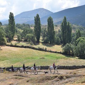 Wanderreiten mit Blick auf die Gredos Mountains