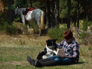Entspannte Mittagspause für Pferd & Reiter