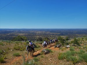 Wanderreiten in der Extremadura