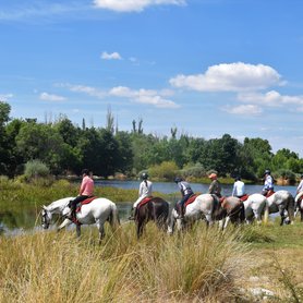 Trinkpause für die Pferde am Bach