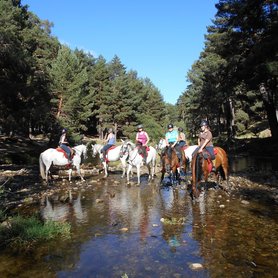 Trinkpause am Fluss