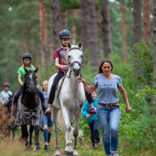 Ausritt mit Ponys