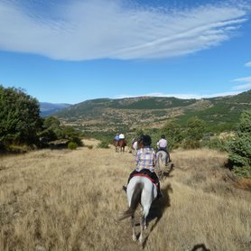 Wanderreiten durch die Dehesa