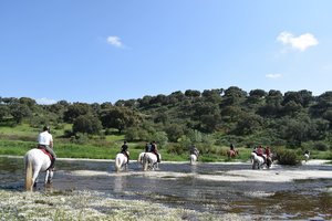 Ritt durch einen Fluss