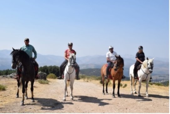 Reiturlaub in Spanien: Sieben Tage Pferdeglück in der Sierra de Gredos