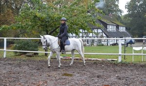 Eine Reiterin auf einem weißen Pferd beim Dressurreiten auf dem Reitplatz des Reiterhofs, im Hintergrund ein traditionelles Fachwerkhaus.
