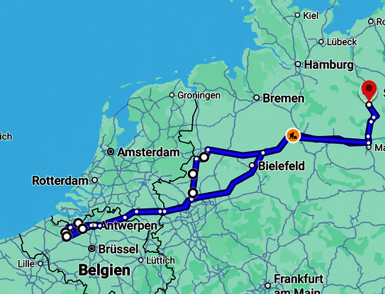 Gestütsrundreise Belgien 2026: Wo Champions geboren werden