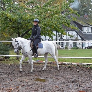 Reitunterricht für Erwachsene