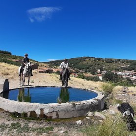 Trinkpause am Brunnen
