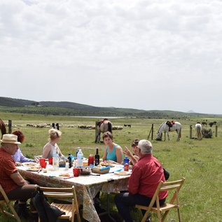 Mittagspause für Pferd & Reiter