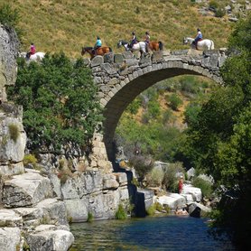 Reiten über eine Brücke