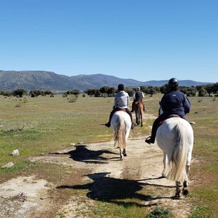 Reiten durch die Dehesa