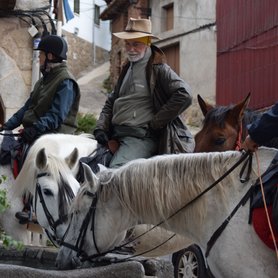Trinkpause für die Pferde