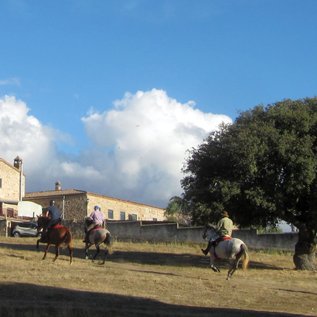 Im Galopp ins nächste Dorf