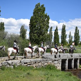 Reiten über eine Brücke