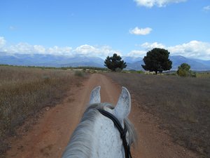 Reiten mit Blick auf die Gredos Mountains
