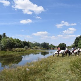 Trinkpause für die Pferde am Bach