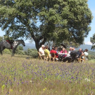 Picknick in der Natur