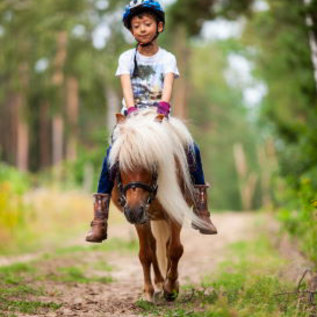Junge beim Ponyreiten