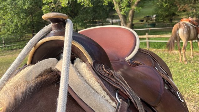 Westernsattel auf einem Pferd beim Reiturlaub in der Eifel
