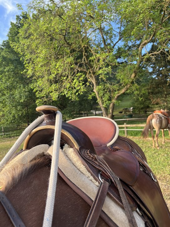 Westernsattel auf einem Pferd beim Reiturlaub in der Eifel