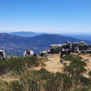 Panorama Sierra de los Gredos