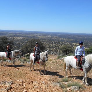 Ausblicke beim Wanderreiten