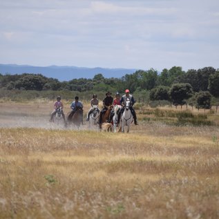 Im Galopp durch die Dehesa