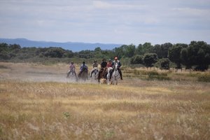 Im Galopp durch die Dehesa