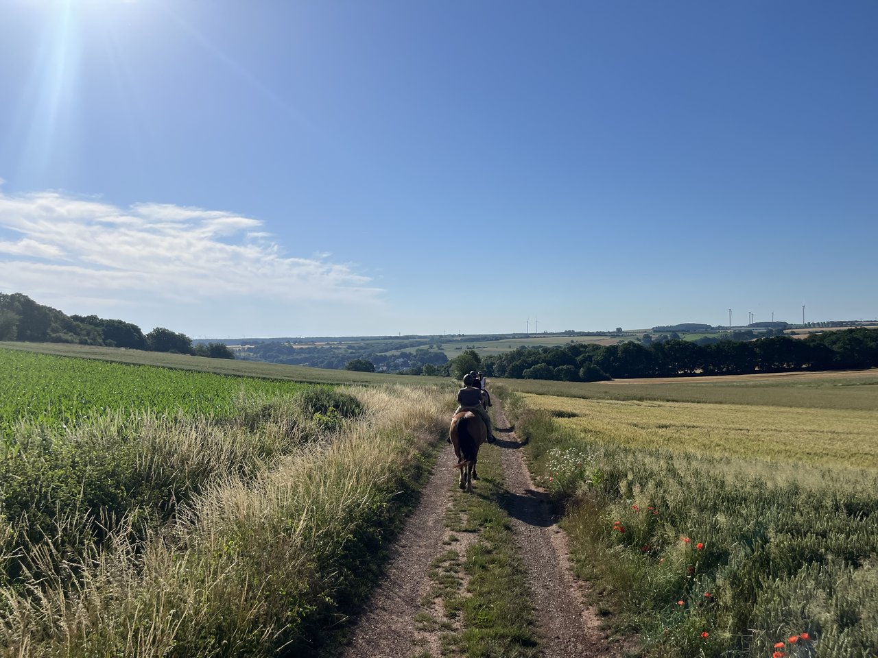 Reiter beim Wanderreiten durch die Landschaft der Rureifel nahe dem Nationalpark Eifel