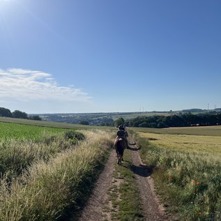 Reiter beim Wanderreiten durch die Landschaft der Rureifel nahe dem Nationalpark Eifel
