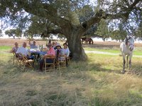 Mittagspause mit Picknick
