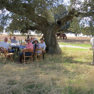 Mittagspause mit Picknick